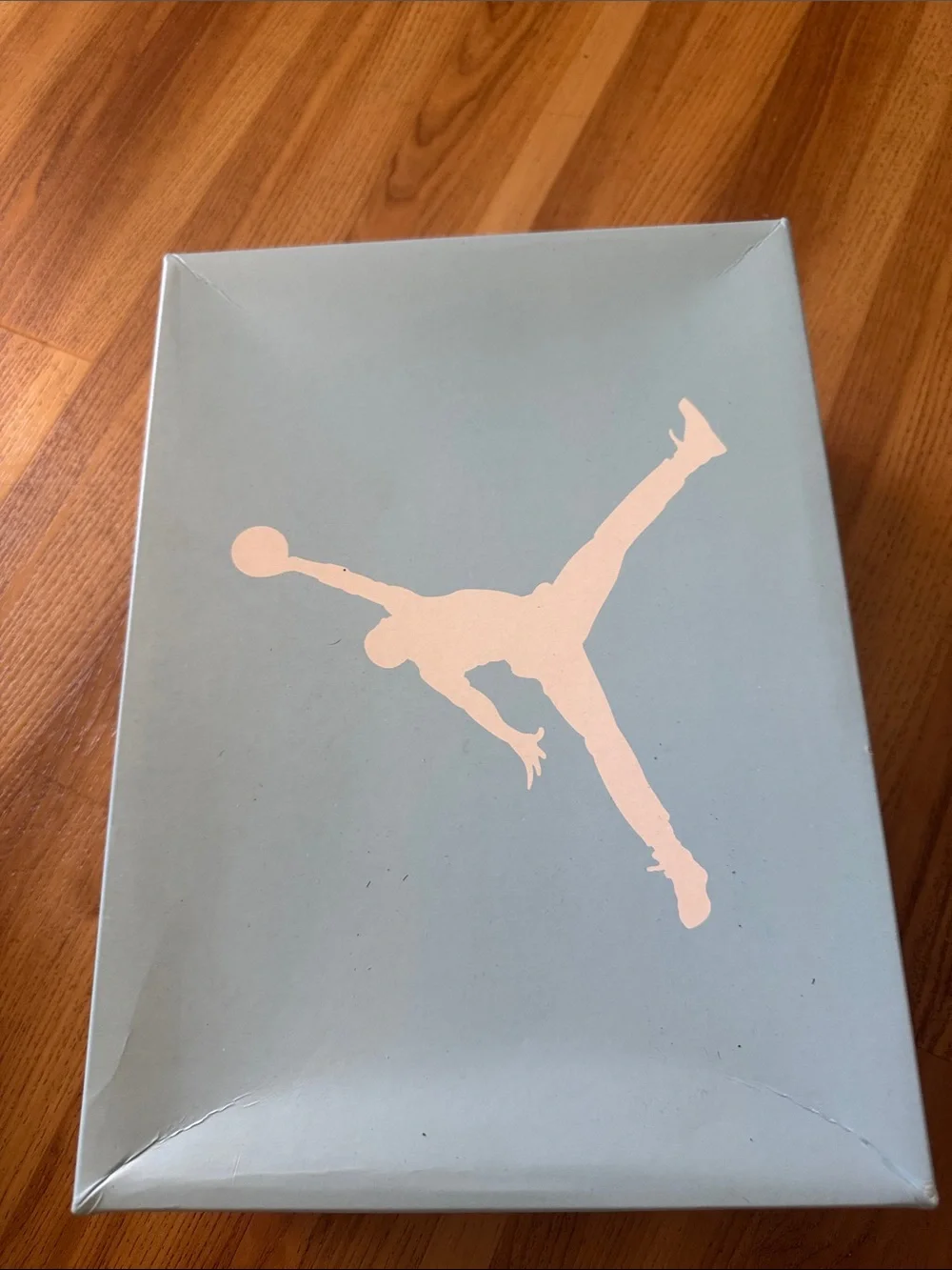 Jordan White and Light Blue Retro Sneakers
